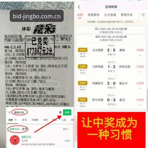 竞博彩票投注替代站 竞博体育官网实用攻略:替代站选择与平台对比详解